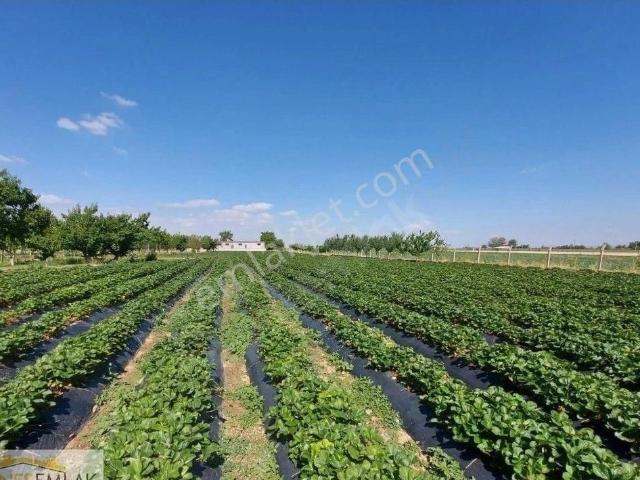Develi, Kayseri içerisinde satılık Villa