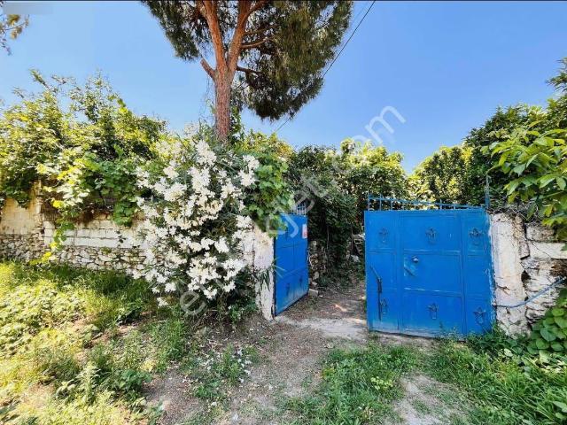Aydin içerisinde satılık Bahce kati