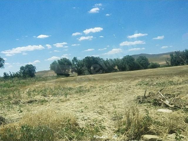 Gölbaşi, Ankara içerisinde satılık mülk