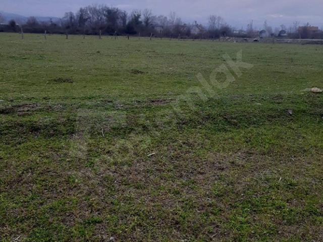 Bafra, Samsun içerisinde satılık Arsa