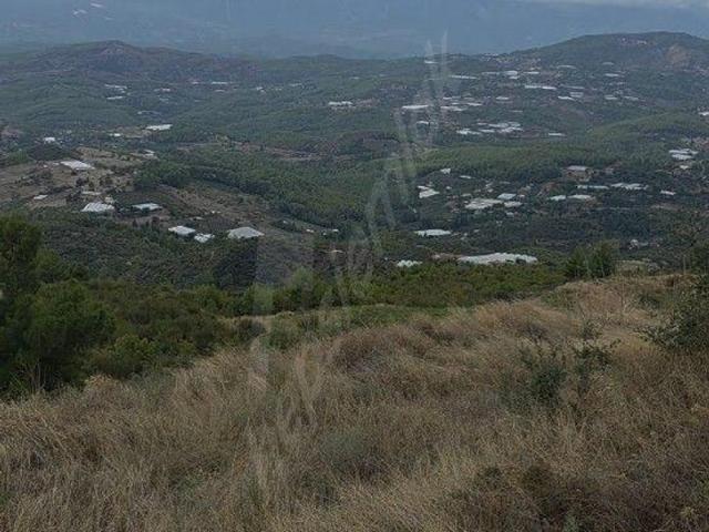 Erentepe, Kumluca içerisinde satılık Arsa