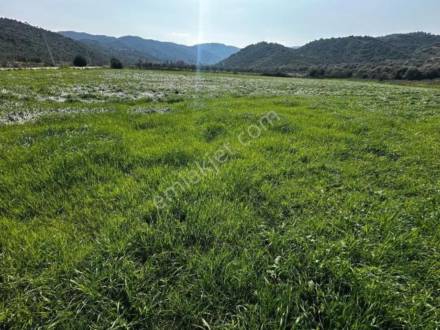 Germencik, Aydin içerisinde satılık mülk