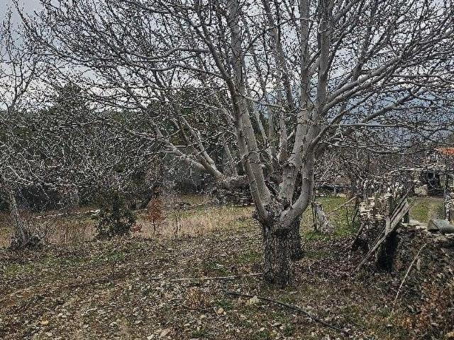 Kavaklidere, Muğla içerisinde satılık Arsa
