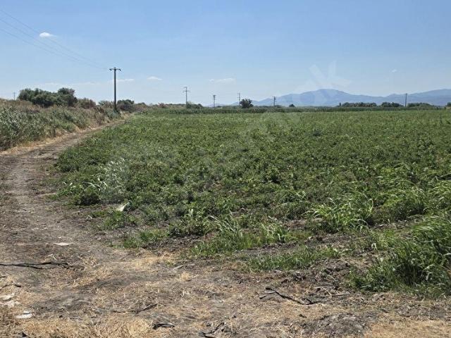 İzmir içerisinde satılık Arsa