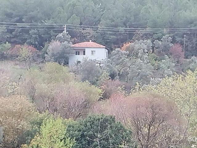 Bornova, İzmir içerisinde satılık mülk