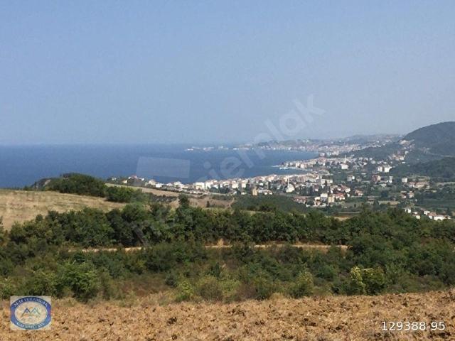 Çinarcik, Yalova içerisinde satılık Arsa