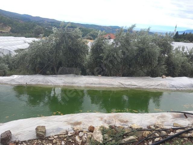İncircik, Kumluca içerisinde satılık Arsa