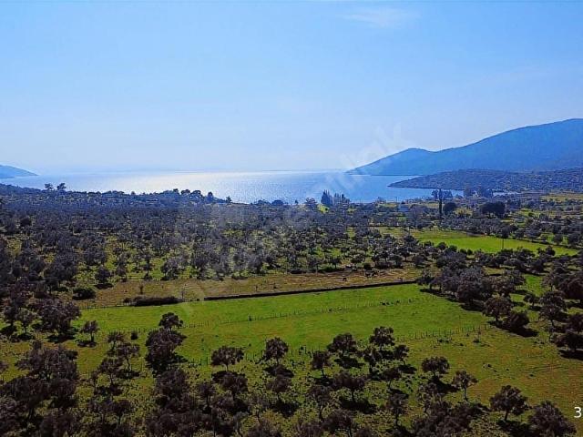 Milas, Muğla içerisinde satılık mülk