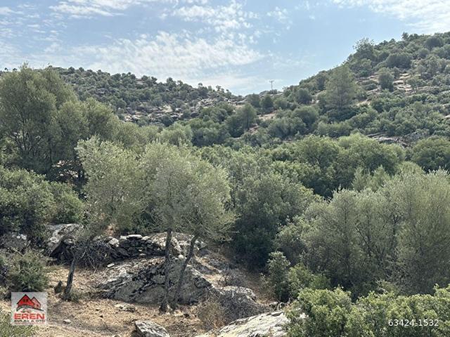 Yatağan, Muğla içerisinde satılık mülk