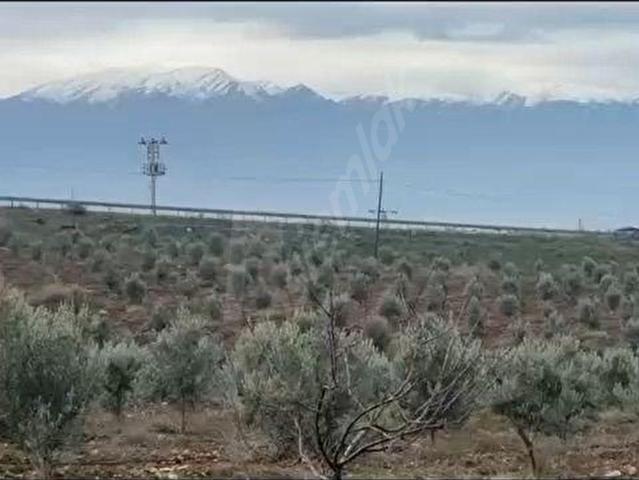 Salihli, Manisa içerisinde satılık mülk