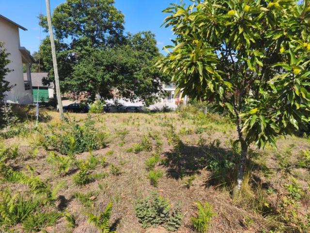 Terreno venda em Sátão, Viseu