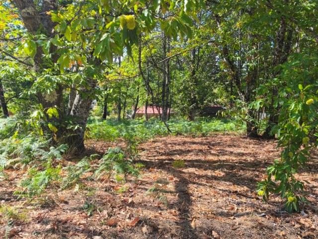 Terreno venda em Sátão, Viseu