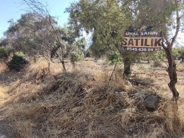 Sultanhisar, Aydin içerisinde satılık mülk