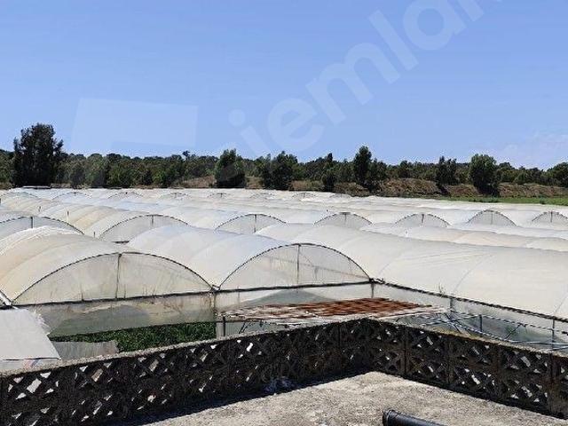 Tarsus, Mersin içerisinde satılık mülk