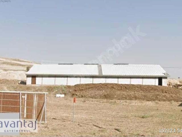 Sarioğlan, Kayseri içerisinde satılık Fabrika