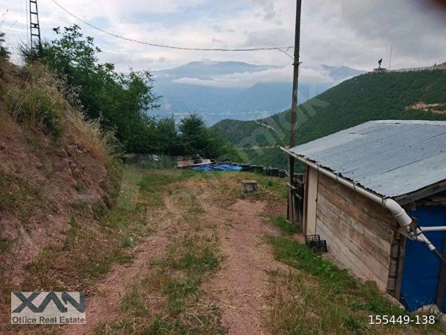 Artvin Merkez, Artvin içerisinde satılık mülk