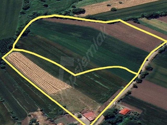 Bafra, Samsun içerisinde satılık Arsa