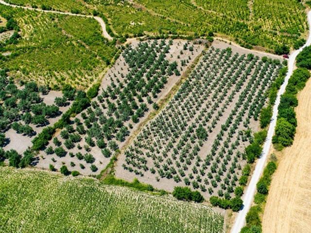 İzmir içerisinde satılık Arsa