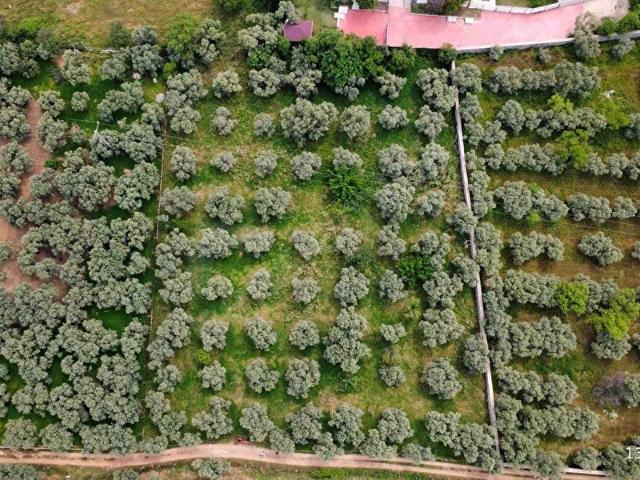 Kemalpaşa, İzmir içerisinde satılık Arsa