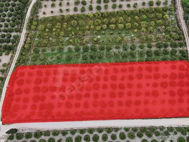Yuvalı, Finike içerisinde satılık Arsa