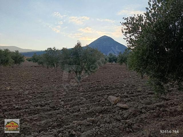 Gülnar, Mersin içerisinde satılık mülk