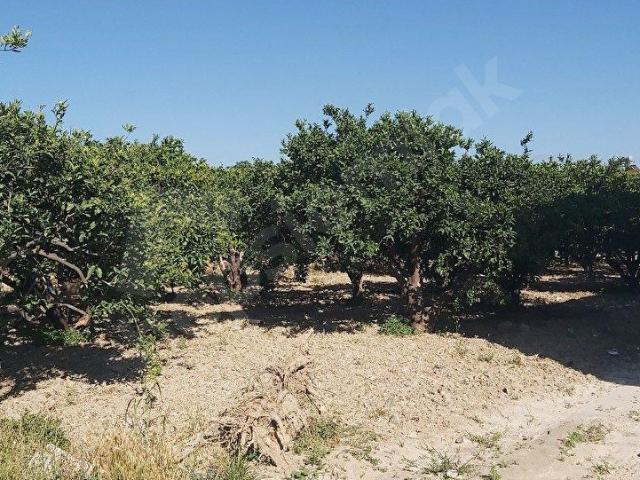 Samandağ, Hatay içerisinde satılık Arsa