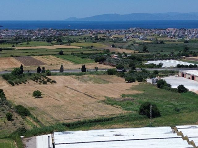 Dikili, İzmir içerisinde satılık Arsa
