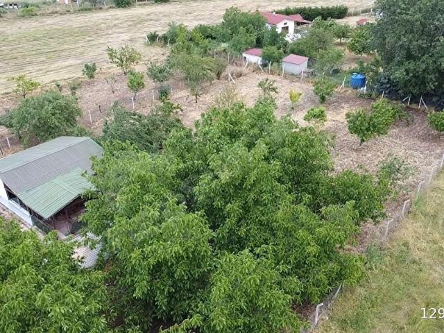 Sazlıca, Merzifon içerisinde satılık Arsa