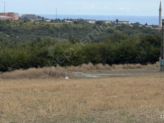Büyük Oyumca, Atakum içerisinde satılık Arsa