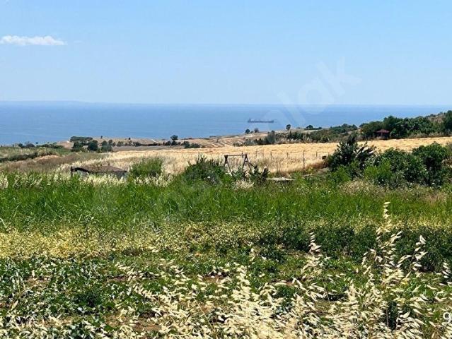 Tekirdağ Merkez, Tekirdağ içerisinde satılık Arsa