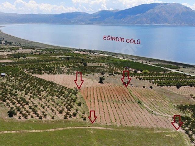 Taşevi, Yalvaç içerisinde satılık mülk
