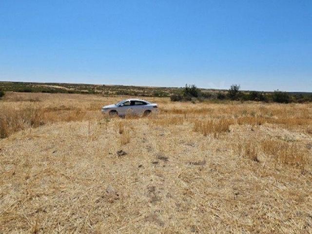 Süloğlu, Edirne içerisinde satılık Arsa