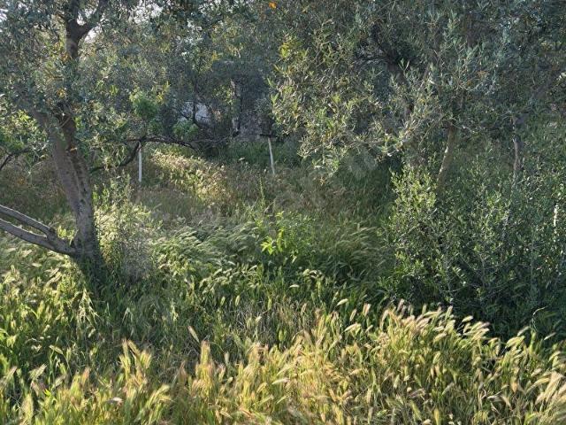 Yatağan, Muğla içerisinde satılık mülk
