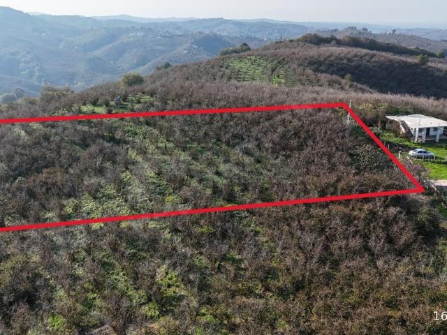 Karşı Mahallesi, Kocaali içerisinde satılık mülk