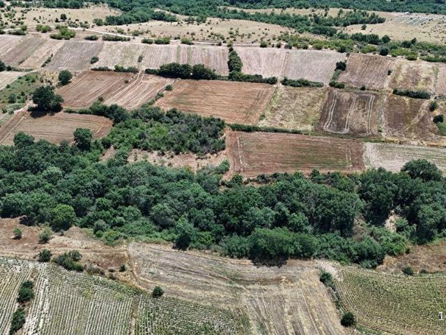 Kadriye, Hayrabolu içerisinde satılık Arsa