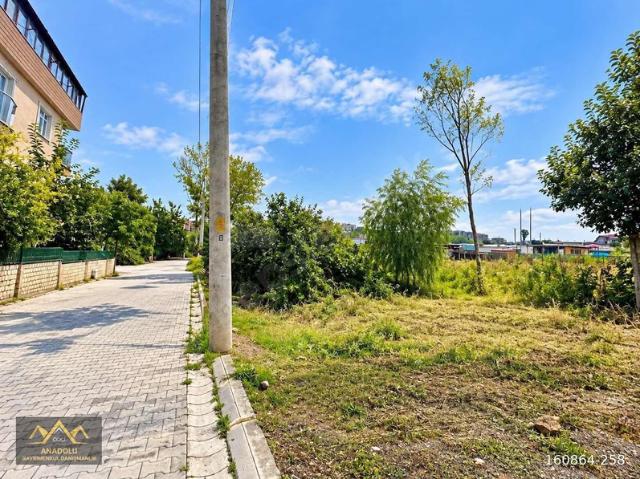 Cami Mahallesi, Darıca içerisinde satılık mülk