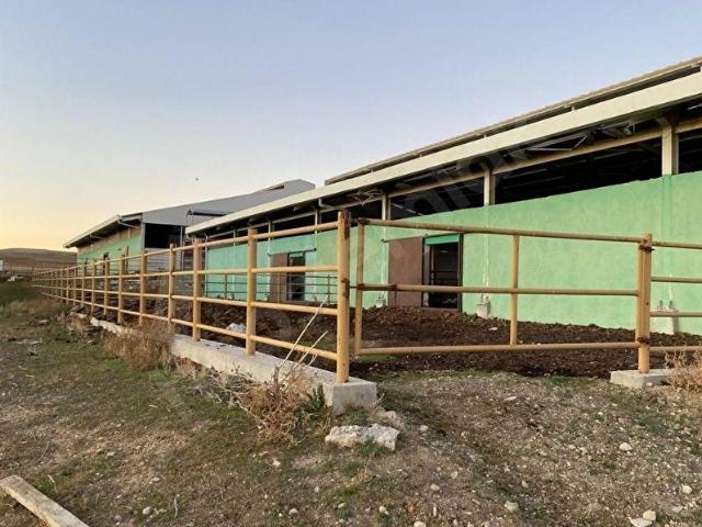 Şereflikoçhisar, Ankara içerisinde satılık Fabrika