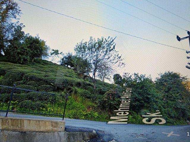 Rize içerisinde satılık Dükkan