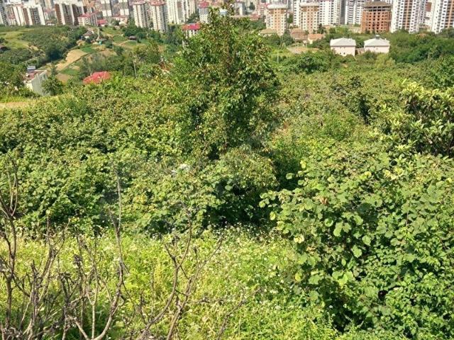 Osmanbaba, Akçaabat içerisinde satılık Arsa
