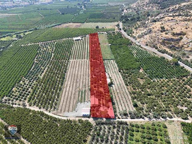 Atatürk Mahallesi, Selçuk içerisinde satılık Arsa
