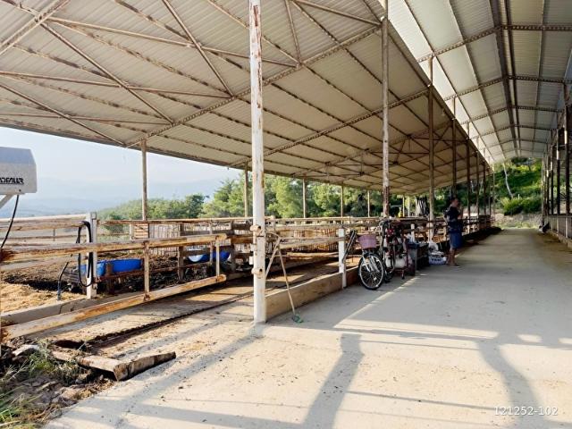 Kesiri, Karaisalı içerisinde satılık Fabrika