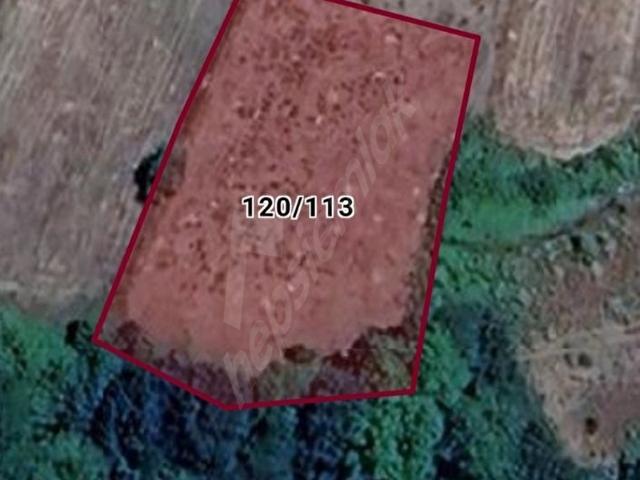 Yenice, Çanakkale içerisinde satılık Arsa