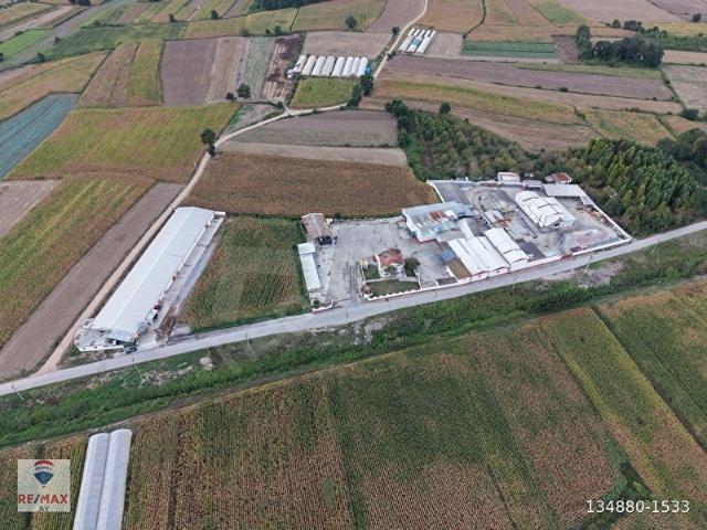 Adapazari, Sakarya içerisinde satılık Fabrika