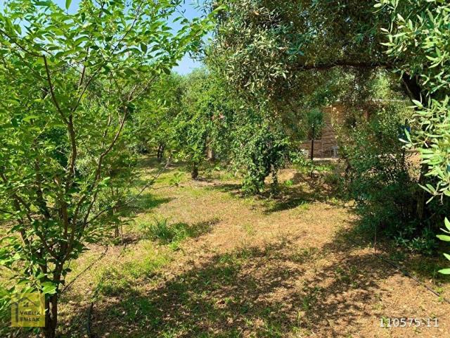 Kemalpaşa, İzmir içerisinde satılık mülk