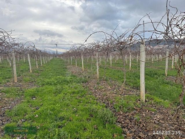 Orhangazi, Bursa içerisinde satılık Arsa