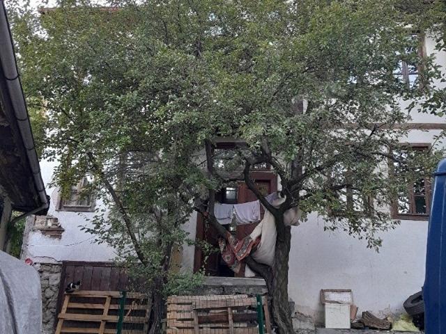 Kastamonu Merkez, Kastamonu içerisinde satılık Villa