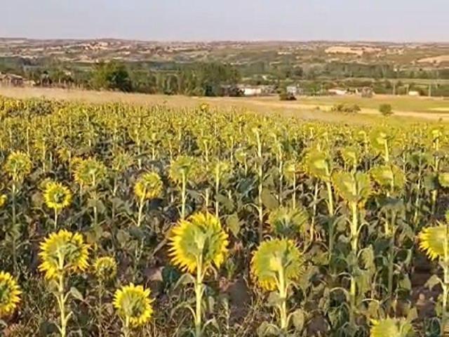 Kırklareli Merkez, Kirklareli içerisinde satılık Arsa