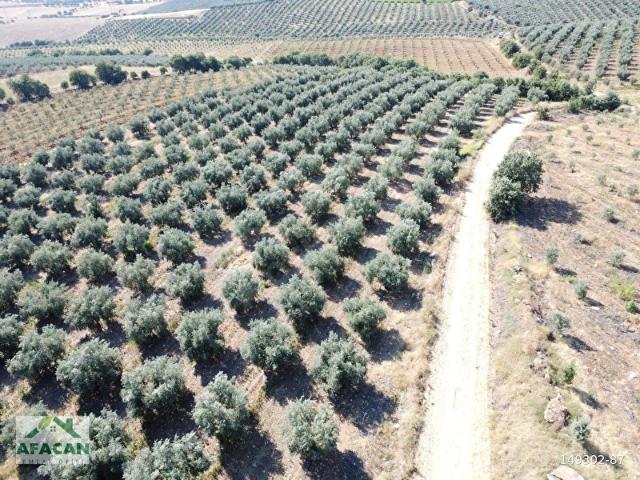Salihli, Manisa içerisinde satılık mülk