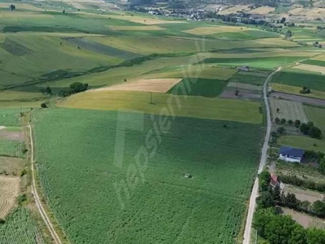 Karacaören, Vezirköprü içerisinde satılık Arsa