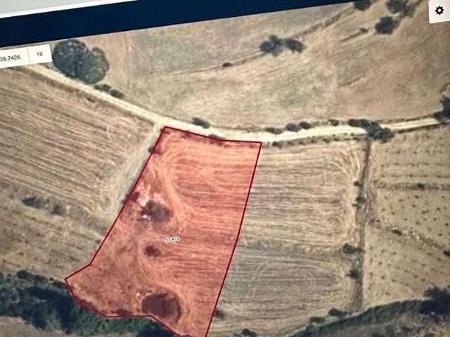 Kavaklidere, Muğla içerisinde satılık Arsa